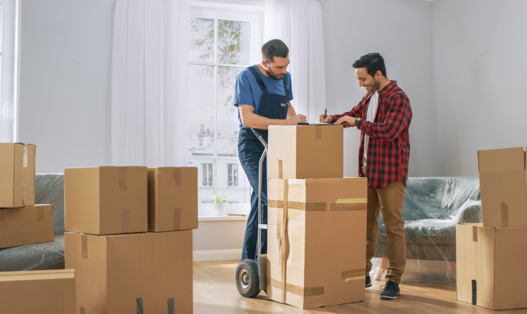 moving companies Auckland